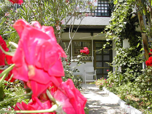 Happy Days Hotel 13
